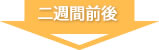 二週間前後